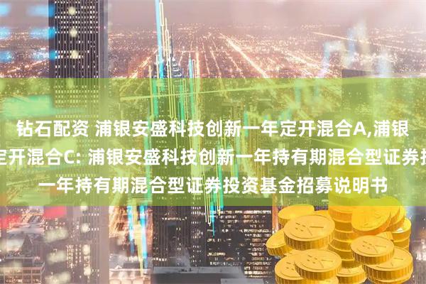 钻石配资 浦银安盛科技创新一年定开混合A,浦银安盛科技创新一年定开混合C: 浦银安盛科技创新一年持有期混合型证券投资基金招募说明书
