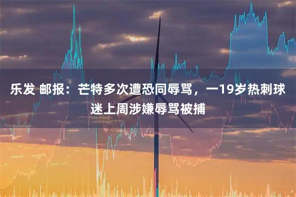 乐发 邮报：芒特多次遭恐同辱骂，一19岁热刺球迷上周涉嫌辱骂被捕