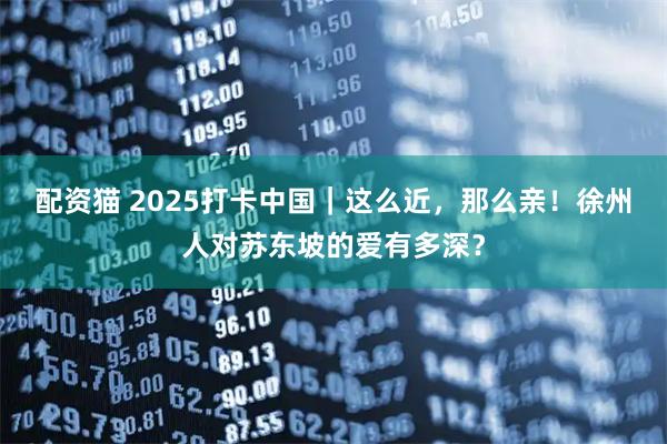 配资猫 2025打卡中国｜这么近，那么亲！徐州人对苏东坡的爱有多深？