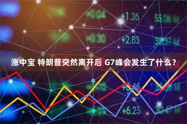 涨中宝 特朗普突然离开后 G7峰会发生了什么?