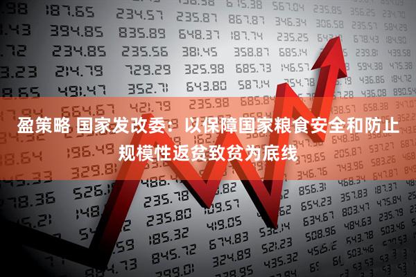 盈策略 国家发改委:以保障国家粮食安全和防止规模性返贫致贫为底线