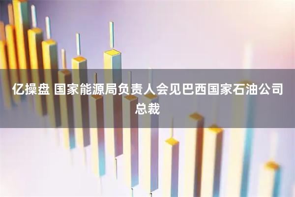 亿操盘 国家能源局负责人会见巴西国家石油公司总裁