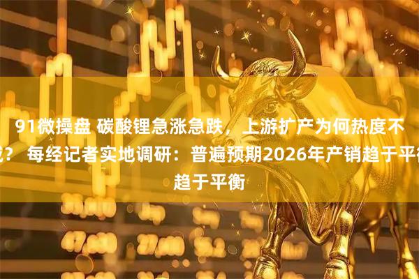 91微操盘 碳酸锂急涨急跌，上游扩产为何热度不减？ 每经记者实地调研：普遍预期2026年产销趋于平衡